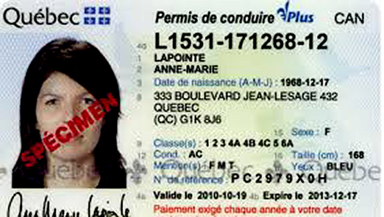 Le Permis De Conduire Et Les Immatriculations Seront Moins Couteux