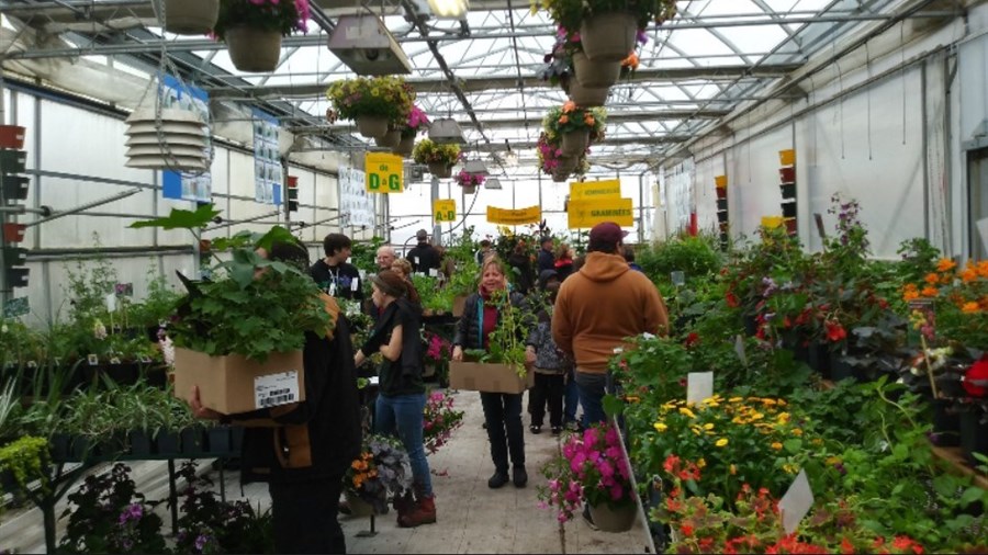 Grande vente annuelle de plante au Cégep à Joliette