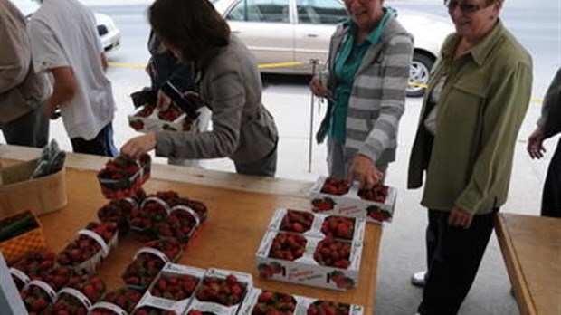 Les fraises de Lanaudière ornent déjà vos desserts