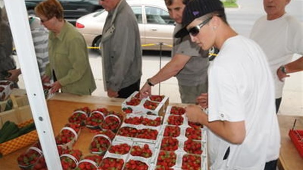 Les fraises du Québec plus chères, mais aussi plus écologiques