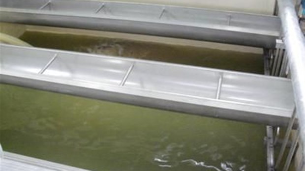 Travaux majeurs à l'usine de filtration