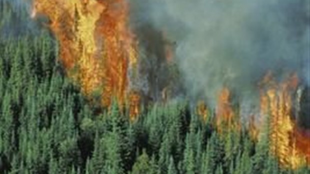 Le danger d'incendie est en hausse