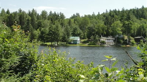Les lacs se meurent