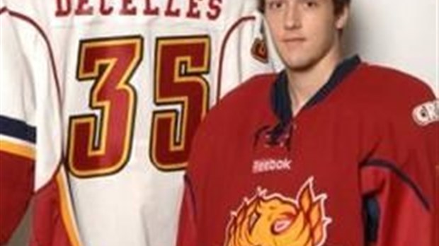 14 anciens Phénix dans des camps de la LHJMQ