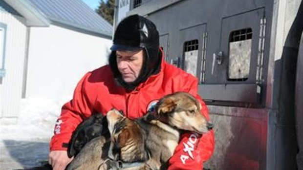 Un musher québécois se rend en Alaska pour se mesurer aux meilleurs