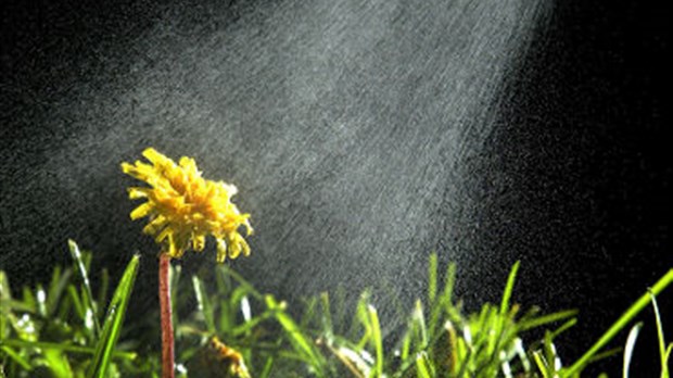 Huit municipalités légifèrent sur les pesticides dans Lanaudière