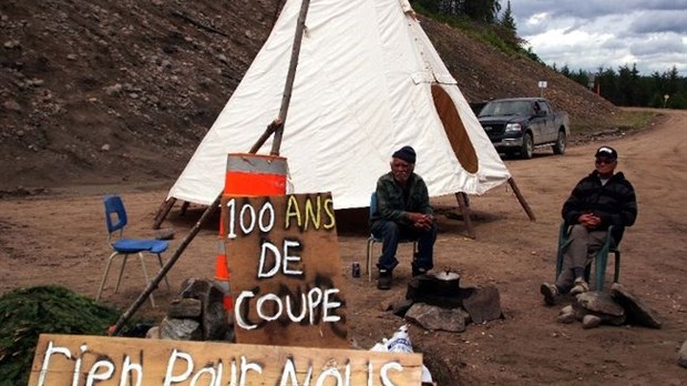 Coupe illégale au pays des Atikamekws