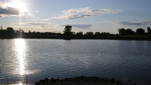 Pleine nature à l’archipel du Lac-Saint-Pierre