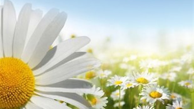 De nouveaux ateliers sur les maladies chroniques offerts gratuitement à la population