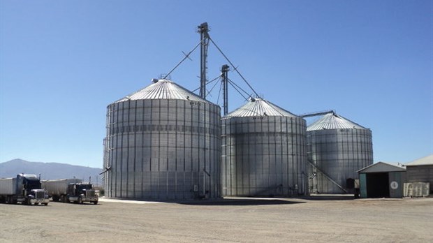 AGRO-100 s'attaque aux marchés de l'Amérique latine.