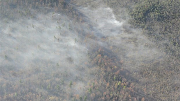 Un feu de forêt ravage huit hectares