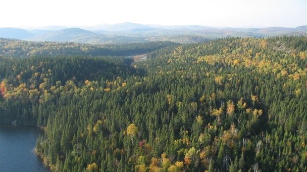Dépôt des rapports de consultation publique sur les plans d’aménagement forestier intégré