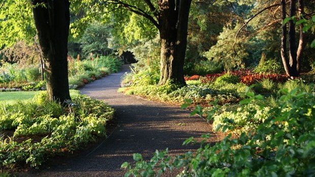 Visite découverte des jardins de la Maison Antoine-Lacombe