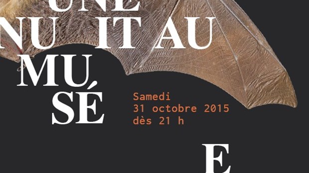 Le Musée d’art de Joliette tiendra l’activité “Une nuit au Musée” 