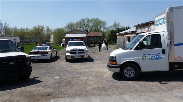 Nouvelles accusations pour un présumé producteur de pot