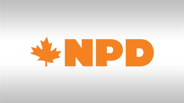 NPD: l’investiture aura lieu le 7 mars prochain