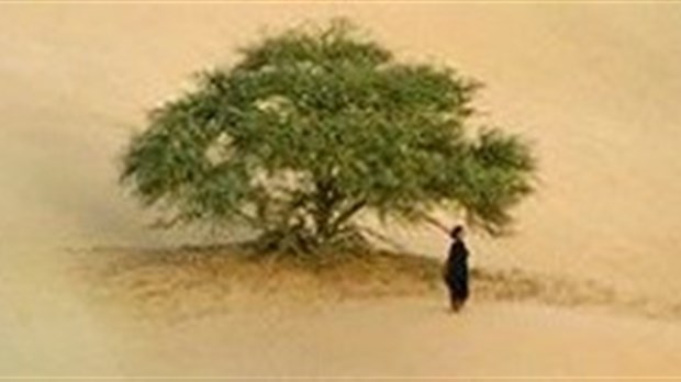 Le film Timbuktu est présenté au Ciné-blabla du CRAPO
