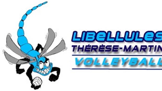 L’or pour les Libellules