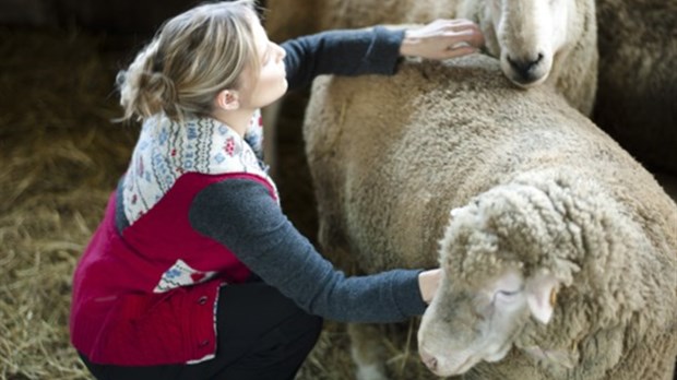 Des activités pour tous