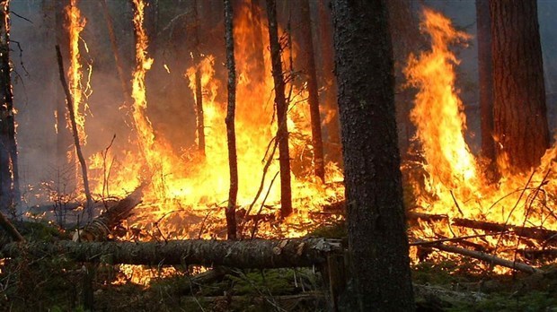 Les risques d’incendies de forêts dans Lanaudière sont considérés extrêmes par la SOPFEU 