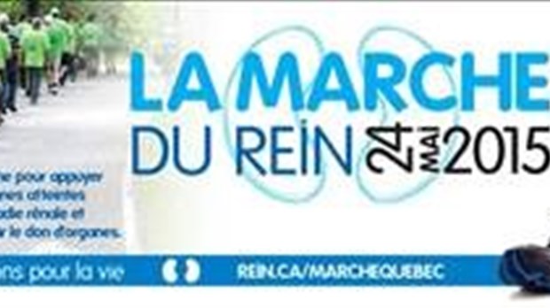 La marche du rein approche à grand pas