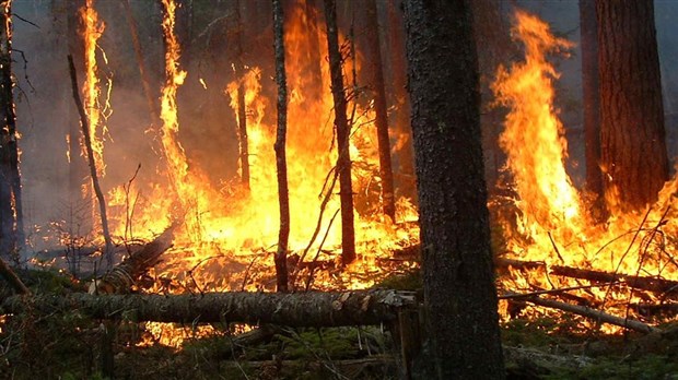 La SOPFEU annonce la levée de l’interdiction de faire des feux à ciel ouvert