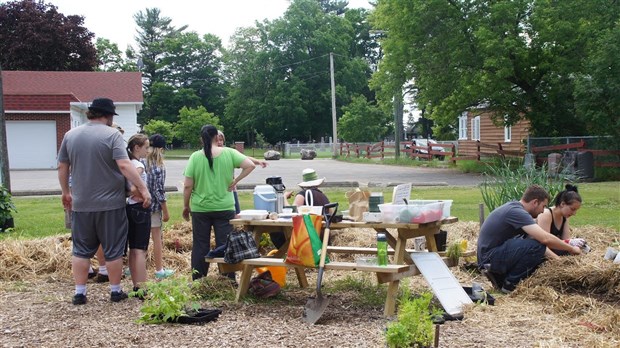 Succès des projets « Je jardine ma communauté » et le « jardin communautaire» 