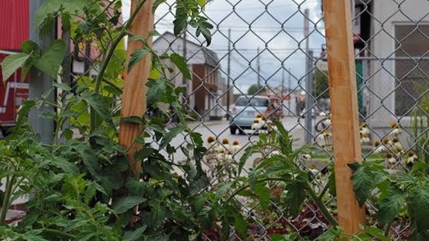Rencontre entre les producteurs et les citoyens au Marché de solidarité régionale de Joliette