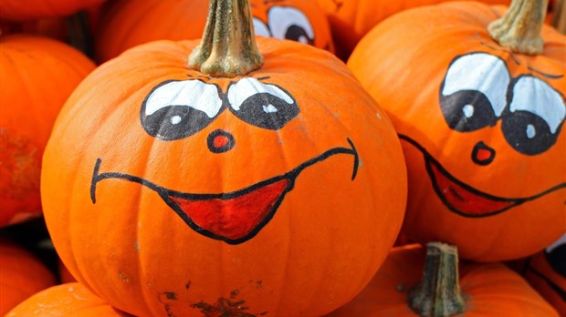 Concours de citrouilles décorées : La Maison Louis-Cyr souhaite votre participation