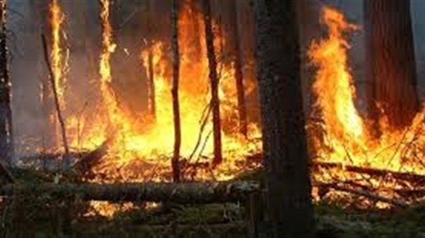 Des risques élevés de feux de forêt pour Lanaudière