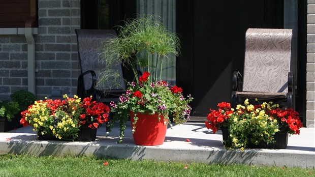 Concours Faites-vous une fleur à Saint-Charles-Borromée