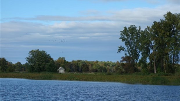 Le Happening Réjean Ducharme sur l’île de son enfance aura lieu le 17 septembre