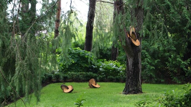 Les sculptures de Benoit Richard dans les jardins de la Maison Antoine-Lacombe