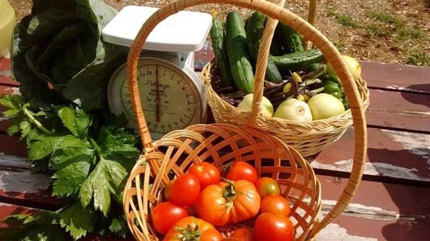 La Fête des récoltes du Jardins du Savoir aura lieu le 23 septembre