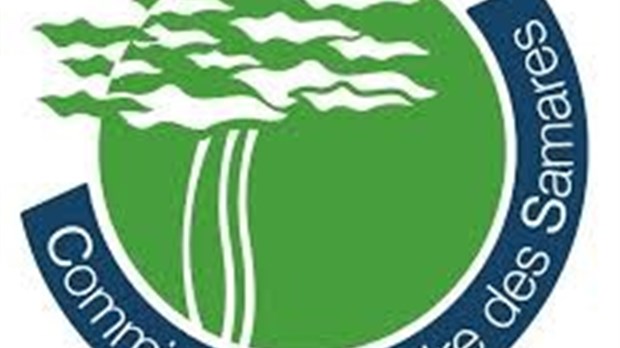 Le comité consultatif des services aux élèves handicapés et aux élèves en difficulté d'adaptation ou d'apprentissage des Samares a un nouveau site internet