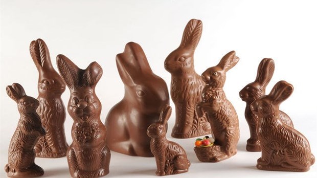 Un grand lapin pour une grande cause !