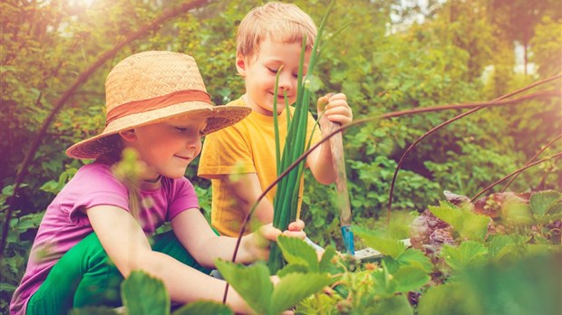 50 nouveaux jardins urbains grâce au projet Cultivons et mangeons local