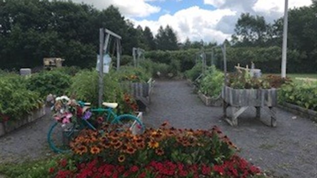 FÊTE DES RÉCOLTES du JARDIN du SAVOIR: Une fête gratuite et pour tous!