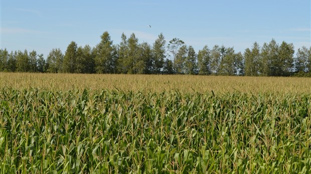 Plan de développement de la zone agricole: La MRC de Joliette débutera les démarches sous peu
