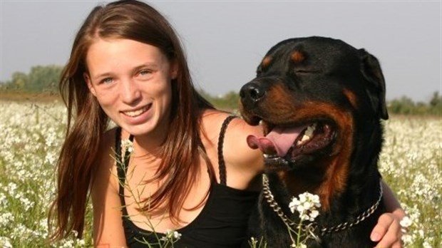 Quoi savoir avant d’adopter un chien