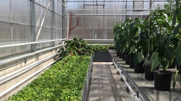 Un nouveau programme au Cégep à Joliette
