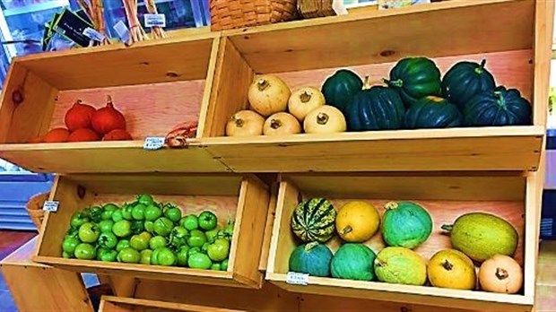 Portes ouvertes au Marché à Saveur Locale, ce samedi