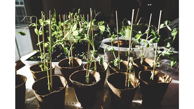 Des conférences horticoles pour lancer la saison de jardinage