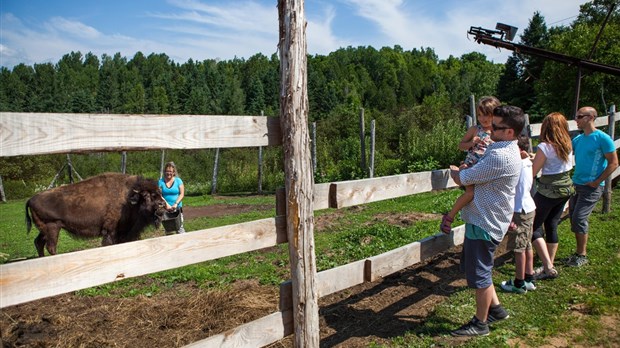 Nouvelles escapades vers Lanaudière à découvrir au départ de Montréal