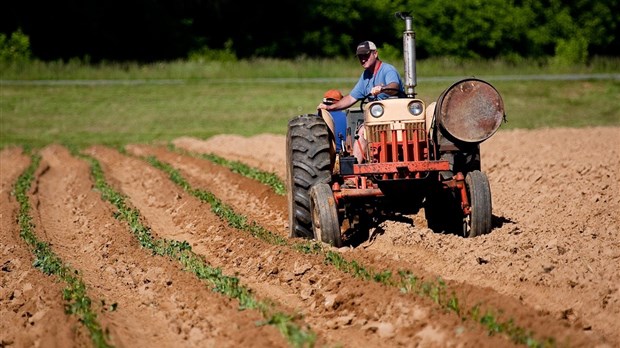 62 873 $ pour favoriser le contact entre les jeunes de Lanaudière et l’agriculture