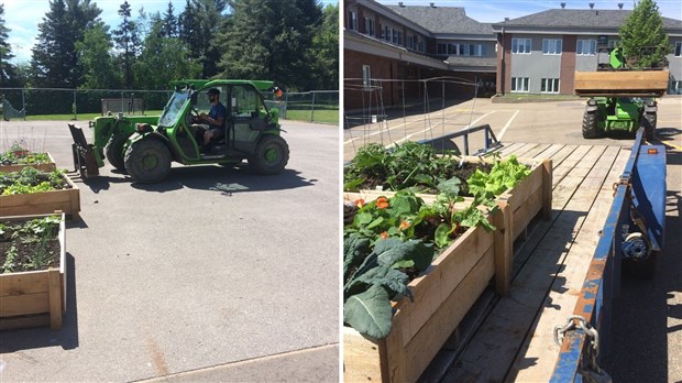 Le jardin collectif pédagogique entamé par les jeunes de l’école des Moulins déménage