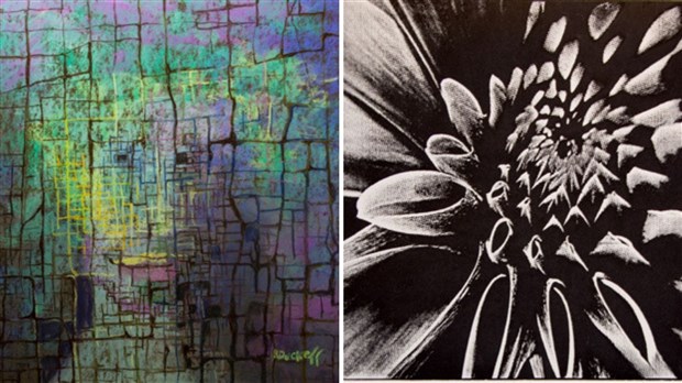 Vernissage de l’expo « Nature autour de moi» de Ann Duckett