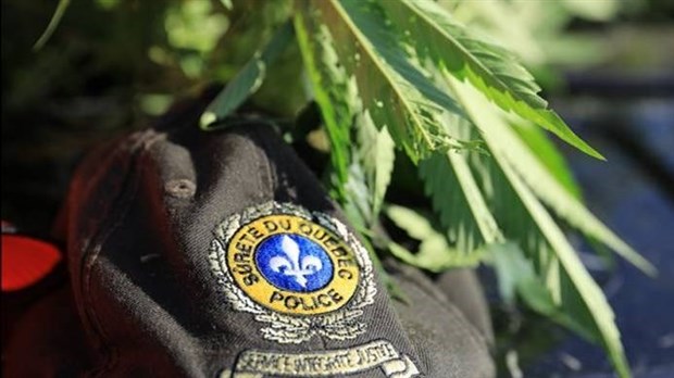 Contrebande : 15 600 cigarettes et 113,5 grammes de cannabis saisis à Joliette