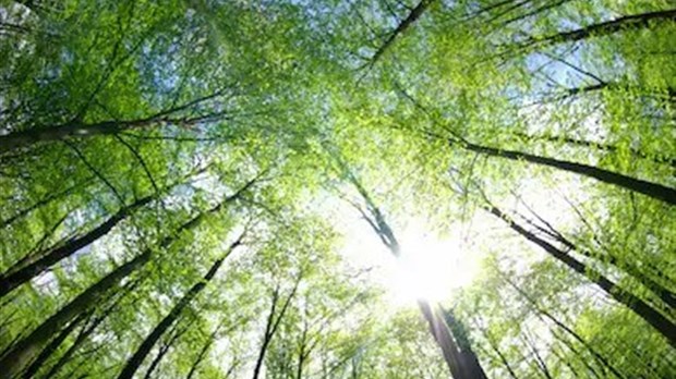 Jour de la Terre du 22 avril: lettre ouverte des Mémés pour le climat de Lanaudière