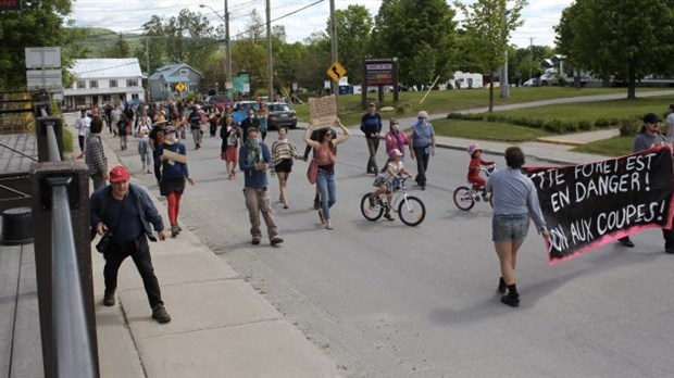 Protéger la forêt du Nord de Lanaudière: le Mouvement Matawinie invite à la mobilisation